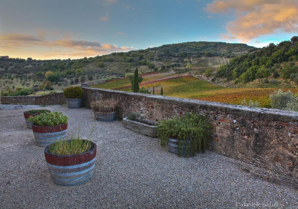 Апартаменти Dimora Toscana Seggiano Екстер'єр фото